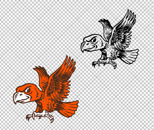 Bowling Green Falcons 1964, Svg, Dxf, Eps, Png